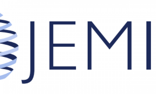 Call for papers - Journal of Entrepreneurship, Management and Innovation (100 pkt MEiN)